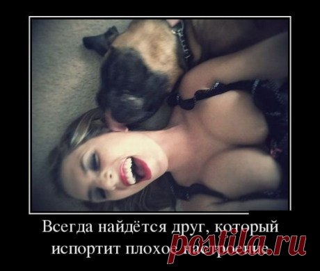 Демотиваторы!!!
