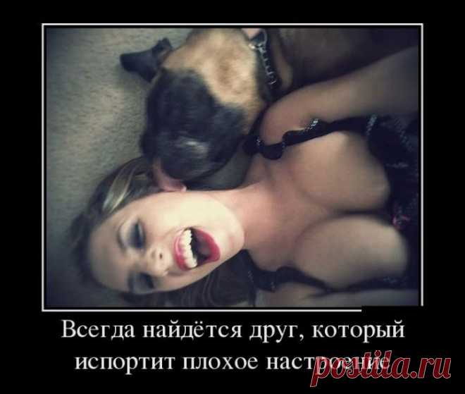 Демотиваторы!!!