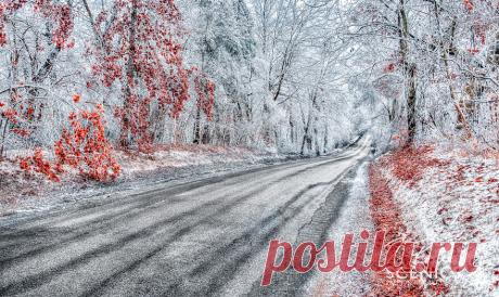 Trevor Pottelberg: красивые фото канадской природы | КрасиВО!!!