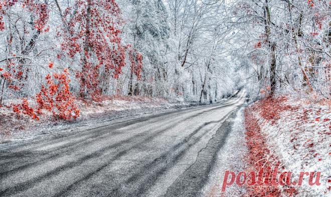 Trevor Pottelberg: красивые фото канадской природы | КрасиВО!!!