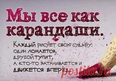 Интуиция - это способность головы чуять задницей.