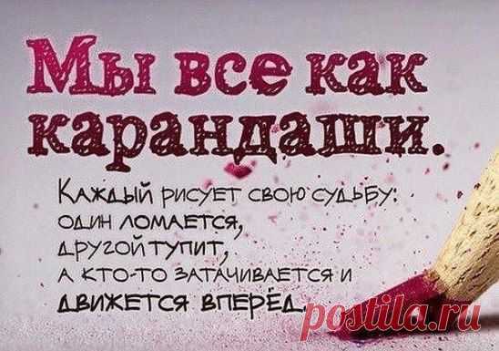 Интуиция - это способность головы чуять задницей.