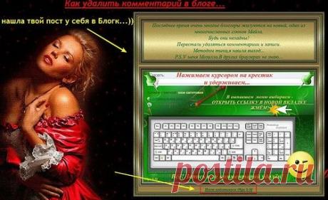 Как удалить комментарии из чужого Дневника, если хозяин Дневника запретил удаление