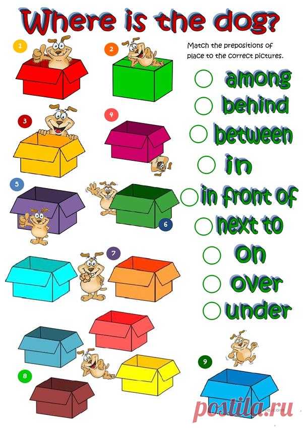 Where's the dog - prepositions of place worksheet - Free ESL printable worksheets made by teachers