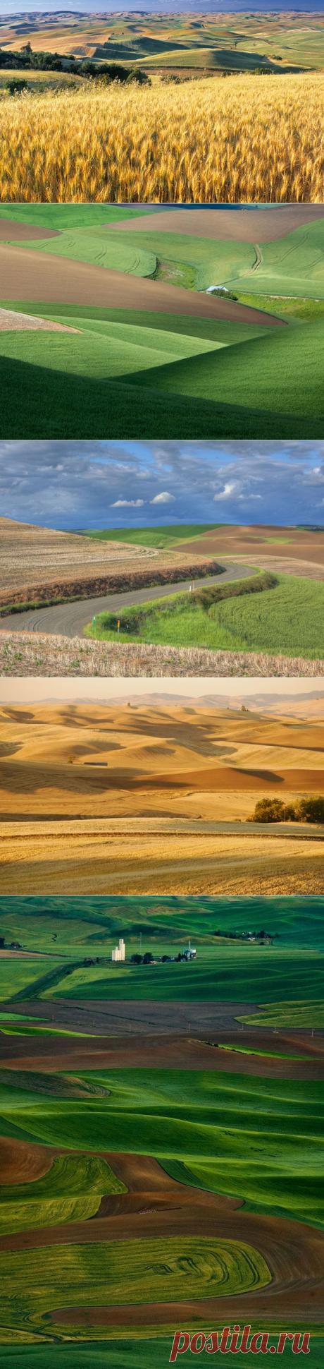 Прогулка по удивительным дюнам Пэлус