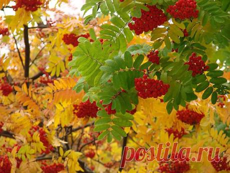 Мой Мир@Mail.Ru