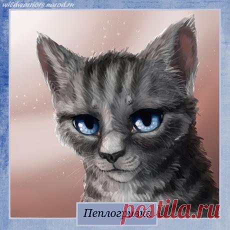 Cinderheart. Warriors by Romashik-arts on DeviantArt