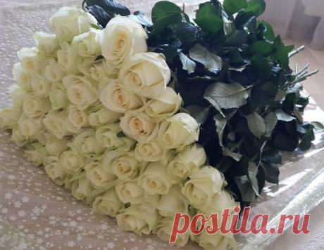 (28) Одноклассники