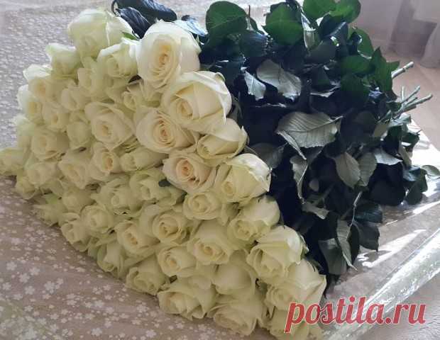 (28) Одноклассники