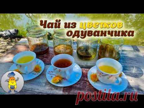 Ферментация цветков одуванчика - пошаговый процесс сбраживания одуванчиков для чая