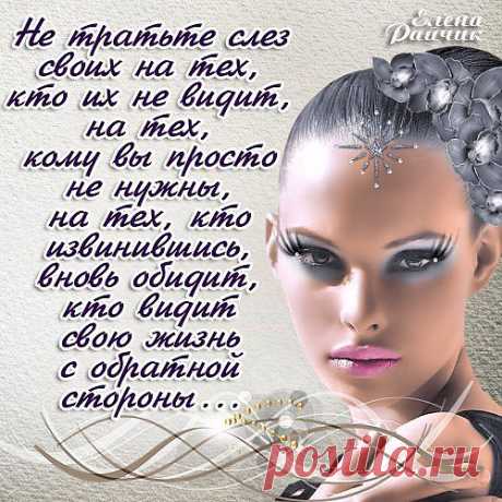 волшебная страна книг к.н.