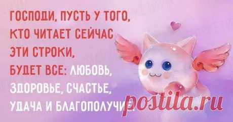 (96) Страницы