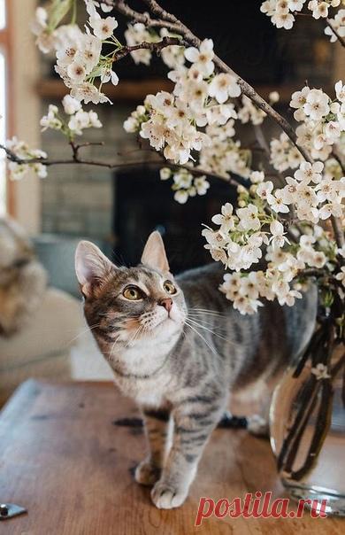 Если вы жаждете приключений, просто обращайте внимание на каждый момент своей жизни, попытайтесь разглядеть чудеса в повседневной суете...

© Дэн Миллман