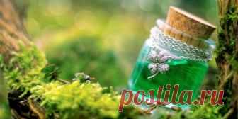 Травяной сбор «Омолаживающий» или Тибетский эликсир молодости Когда человек хочет стать боле здоровым, похудеть, пройти курс омоложения, то вначале он вспоминает про различные народные рецепты и нетрадиционную медицину. Пьются различные травы для очищения организма, употребляются в пищу продукты для очищения кишечника и всеми способами выводятся из организма...