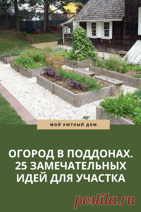 Отличная идея как использовать поддоны в огороде