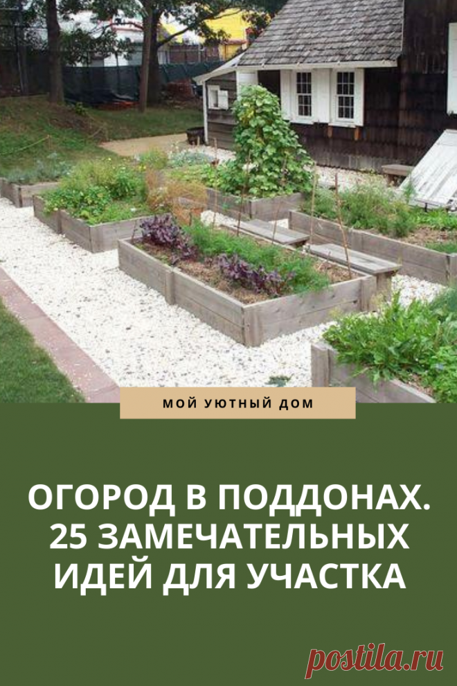 Отличная идея как использовать поддоны в огороде