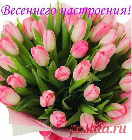День Рождения ■ Открытки ■ Поздравления