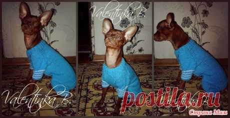 Шапка и свтерок - Вязание - Страна Мам