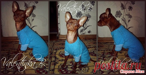 Шапка и свтерок - Вязание - Страна Мам