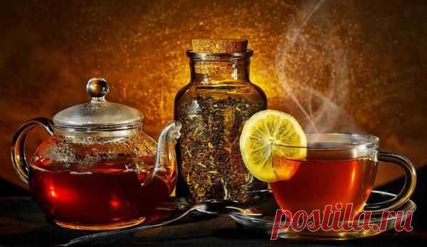 Монастырский чай от сахарного диабета. | Здоровая жизнь