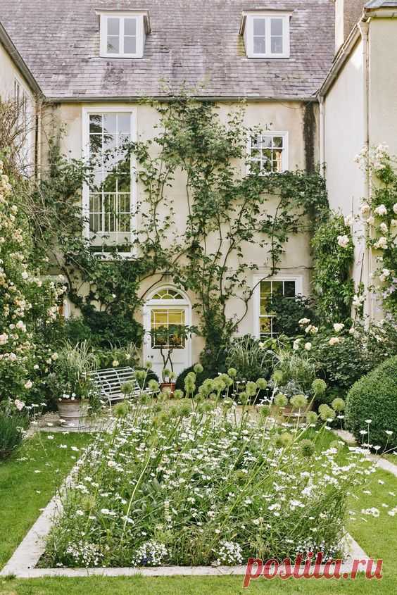 Batcombe House: The 'essential Somerset garden' with a gloriously wild display of flowers, a relaxed atmospheric landscape and an unexploded WW2 shell in one of the borders - Country Life