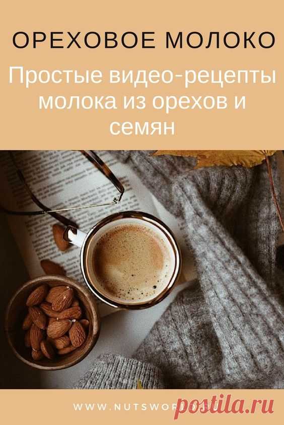 15 видов растительного молока из семян и орехов. Рецепты с видео. Рецепты для сыроедов. Вегеторианство. Из орехов и семян растений можно приготовить вкусный и полезный напиток – растительное молоко. Все, что вам нужно – блендер, мешочек для процеживания и немного терпения. #nuts #cake #veganrecipes #vegetarian #вегетарианскиерецепты #вегетарианство