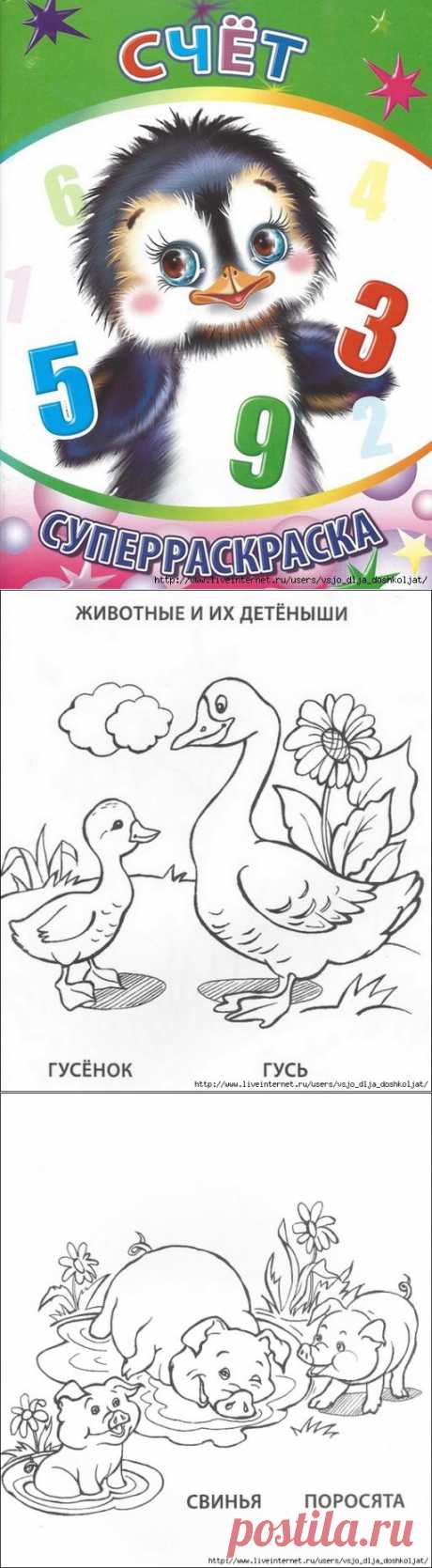 Суперраскраска - СЧЁТ.