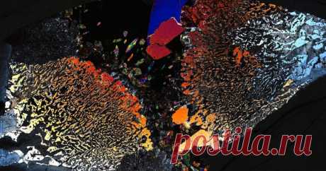 Microbial Life Has Been Found Deep in Earth's Crust Beneath the Ocean Floor Life can often seem rare and fragile, but we living things have well and truly infiltrated Earth. Microorganisms just keep cropping up in unexpected times and extreme places, the latest of those being deep below the seafloor, in Earth's lower crust.