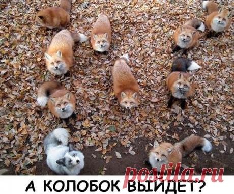 ЭТУ СТРАНУ НЕ ПОБЕДИТЬ!!!