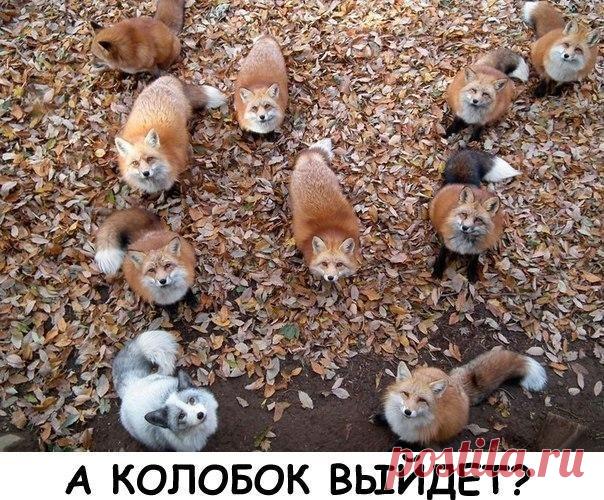 ЭТУ СТРАНУ НЕ ПОБЕДИТЬ!!!