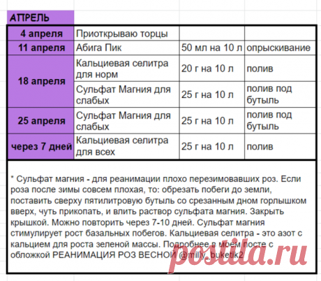 Уход за розами с апреля по ноябрь. Уникальные таблицы с дозировками препаратов. | miliy_buketik2 | Яндекс Дзен