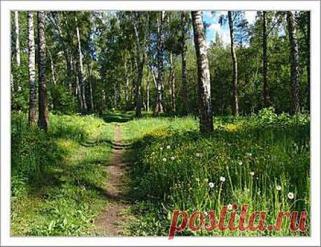 Хорошо-то как! Мелодекламация - Ирина Чебанова -&gt; стихи и проза на Избе-Читальне