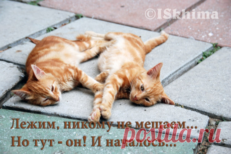 igorskhima — Голос