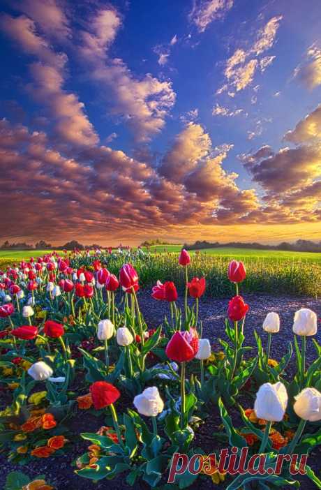 Belle nature
