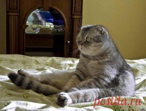 Когда не можешь найти, что надеть и просто сидишь так и смотришь на шкаф.