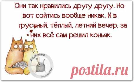 мудрявости