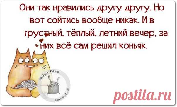 мудрявости