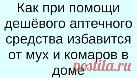 Как при помощи дешёвого аптечного средства избавится от мух и комаров в доме
Комары доставляют проблемы в течение всего тёплого сезона. Но если от этих кровососущих можно ожидать только укусы, зуд и плохой сон, то мухи — это реальная угроза здоровью человека. Они переносят ряд болезнетворных бактерий, таких как дифтерия, сальмонелла, синегнойная палочка. Но и это не всё. Мухи могут занести в дом яйца паразитов: аскарид, остриц, власоглава, […]
Читай дальше на сайте. Жми подробнее ➡