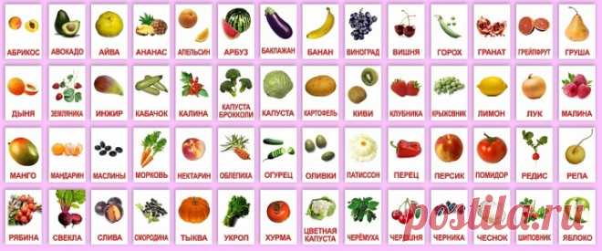 ovoschi_frukty_yagody.jpg (766×319)
