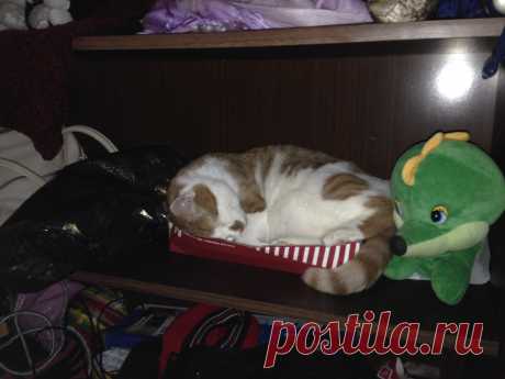 Не помещаюсь, но ладно все равно сладко спать!