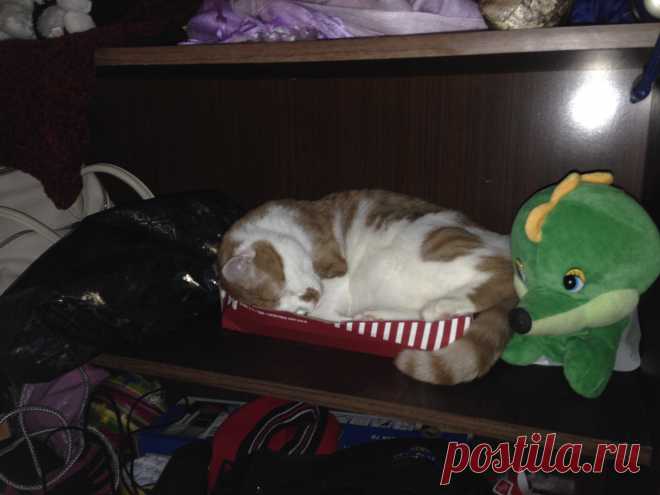 Не помещаюсь, но ладно все равно сладко спать!