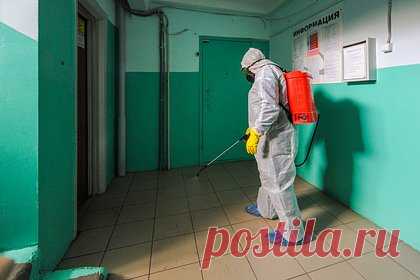 Приехавший на вызов дезинфектор изнасиловал россиянку