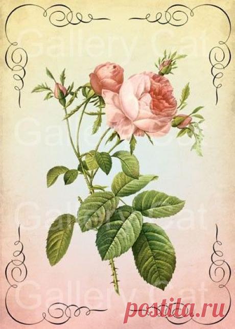 Найдено на сайте iheartshabbychic.blogspot.com.