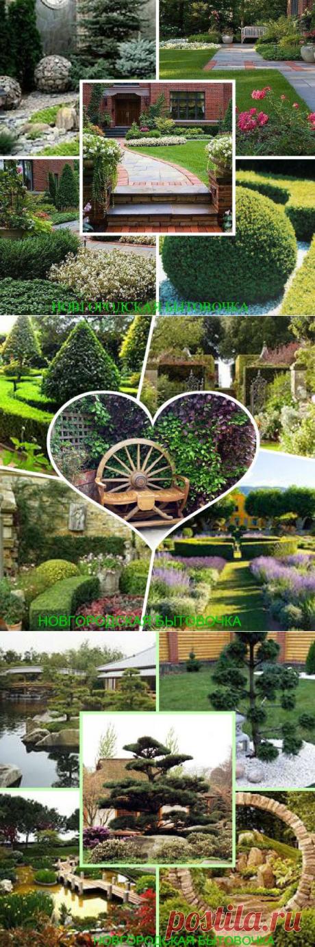 ЛАНДШАФТНЫЙ ДИЗАЙН - модные тенденци