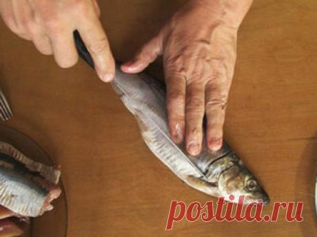 КАК ПРАВИЛЬНО ЧИСТИТЬ СЕЛЬДЬ КАК ПРАВИЛЬНО ЧИСТИТЬ СЕЛЬДЬ. Многие любят есть селедку, но не многие любят чистить. Есть способ сделать это легко и доступно. Как известно, сельдь достаточно костлявая рыба, отличающаяся при этом высокими вкусовыми качествами. Этот вид полюбился многим, но домохозяйки недолюбливают селедочку из-за как правило неряшливого процесса филирования рыбы. Существует немало способов чистки селедки и сегодня я расскажу еще про один из них. Начнем с подбора инструмента.