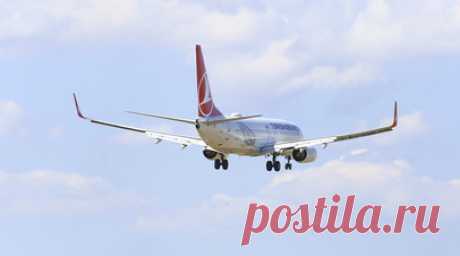 В «Турпомощи» дали советы туристам на фоне задержек рейсов Turkish Airlines. В пресс-службе ассоциации «Объединение туроператоров в сфере выездного туризма «Турпомощь» рассказали RT о положенных туристам услугах на фоне задержек рейсов Turkish Airlines. Читать далее