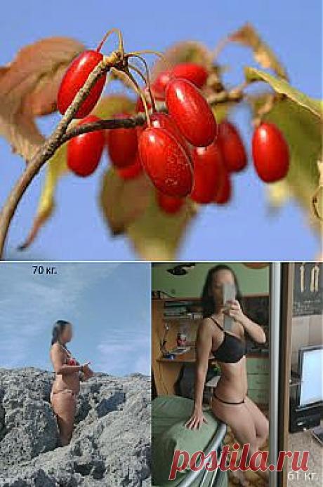 Похудеть на 24 кг за месяц: мнение врачей-диетологов