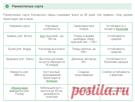 Болгарский перец: описание, сорта, посадка, уход, подкормка, полив, болезни и вредители, фото, видео