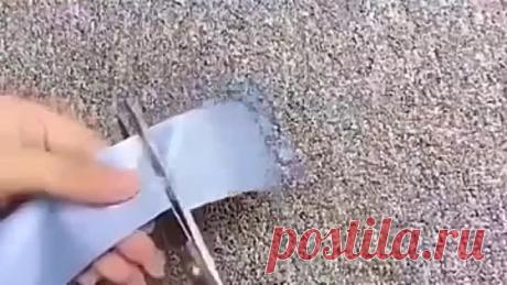 3331398896160-360p.mp4