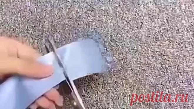 3331398896160-360p.mp4